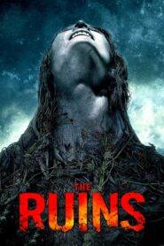 ดูหนังออนไลน์เรื่อง The Ruins แดนร้างกระชากวิญญาณ (2008)เต็มเรื่อง