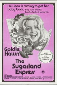 The Sugarland Express อีสาวบ้าเลือด (1974) หนังออนไลน์เต็มเรื่อง