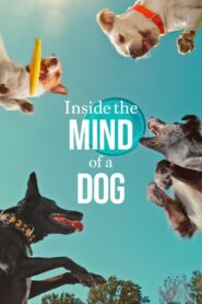 Inside the Mind of a Dog อ่านใจสุนัข(2024) สารคดีสัตว์เลี้ยง