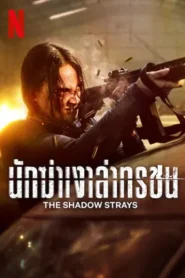 The Shadow Strays นักฆ่าเงาล่าทรชน (2024) ดูหนังกญิงบู๊โหด